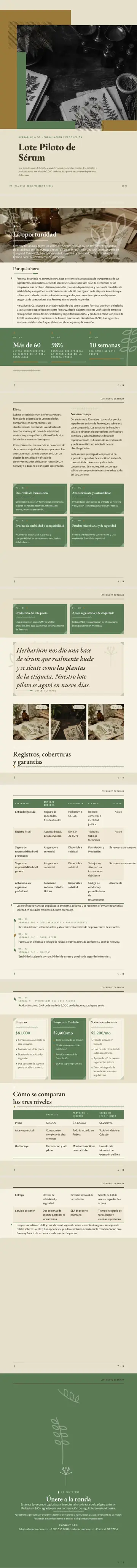Ejemplo de pitch deck generado por waxTable