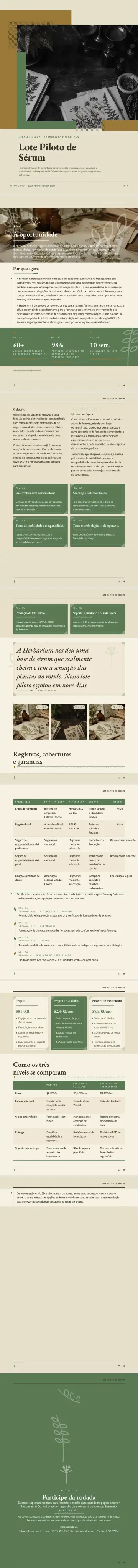 Exemplo de pitch deck gerado pela waxTable