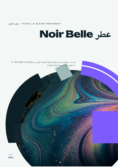 A finished pitch deck rendered in a تدرج لوني look