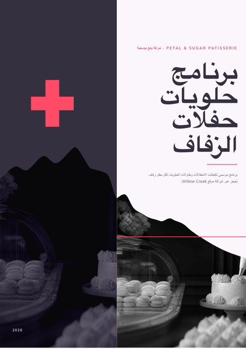 A finished pitch deck rendered in a لوني look