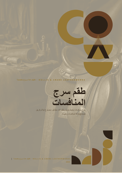 A finished pitch deck rendered in a مورفيزم look