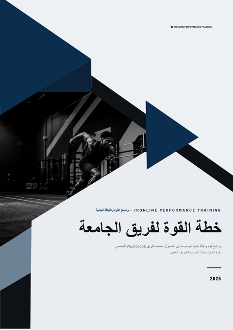 A finished pitch deck rendered in a متنوع look