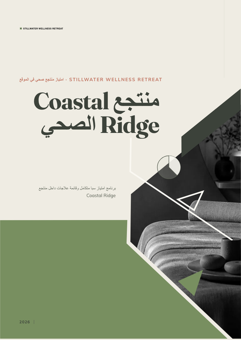 A finished pitch deck rendered in a أسلوب حياة look