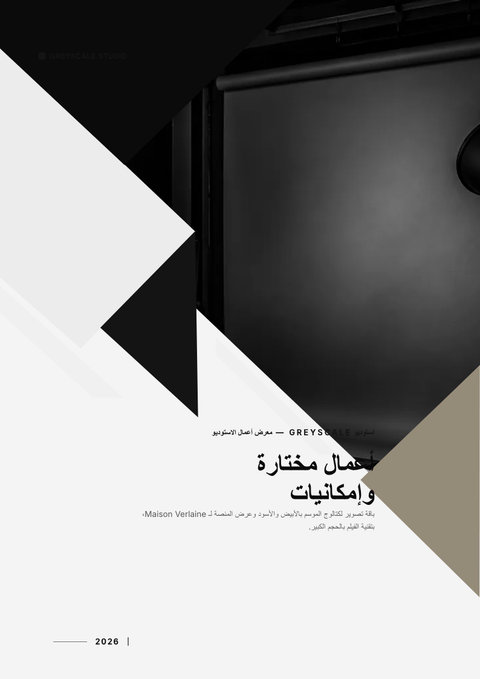 A finished portfolio rendered in a لوني look