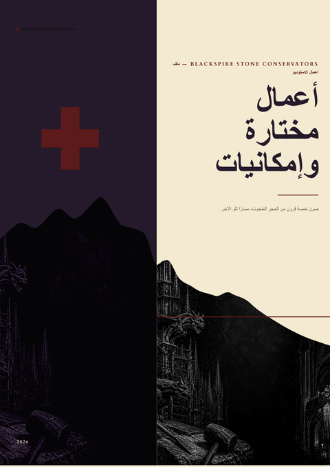 A finished portfolio rendered in a داكن look