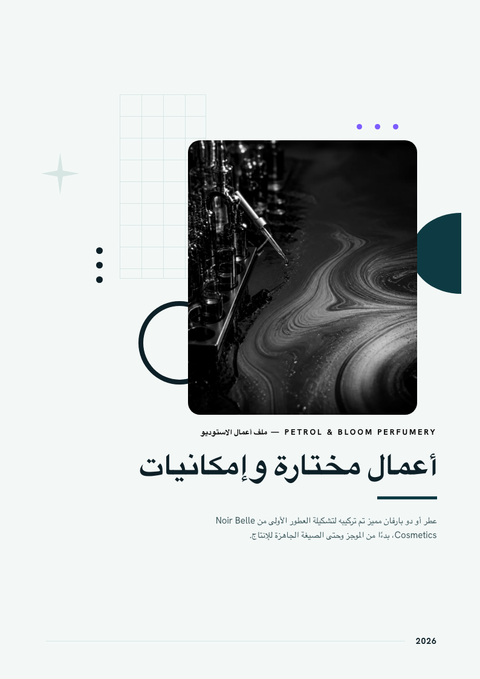 A finished portfolio rendered in a تدرج لوني look