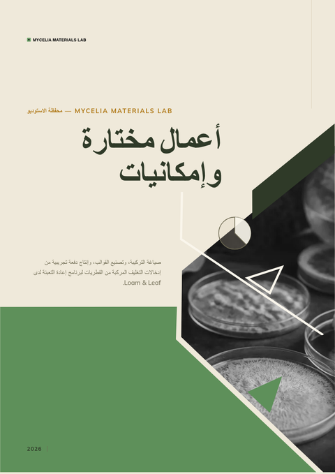A finished portfolio rendered in a طبيعة look
