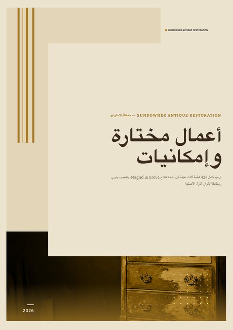 A finished portfolio rendered in a كلاسيكي look