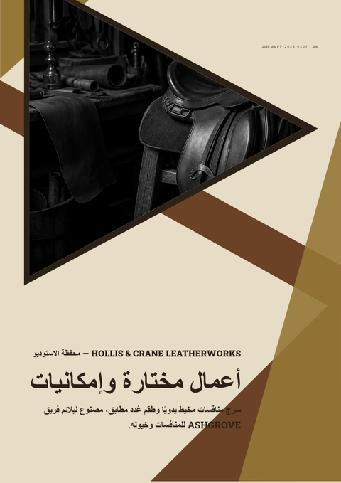 A finished portfolio rendered in a مورفيزم look