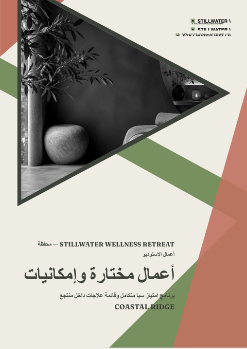 A finished portfolio rendered in a أسلوب حياة look