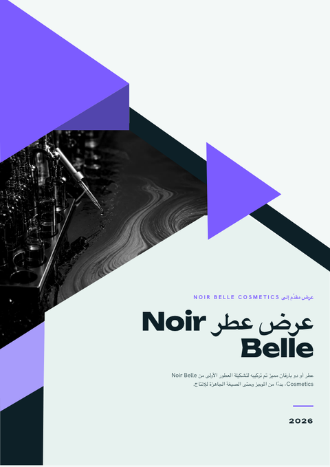A finished proposal rendered in a تدرج لوني look