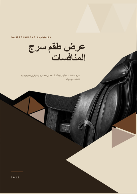 A finished proposal rendered in a مورفيزم look