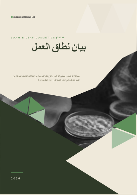 A finished scope of work rendered in a طبيعة look