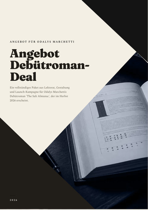 A finished proposal rendered in a typografisch look