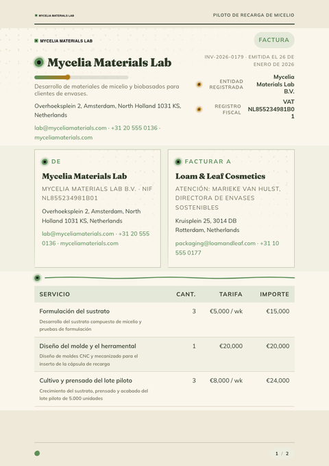 A finished invoice rendered in a naturaleza look