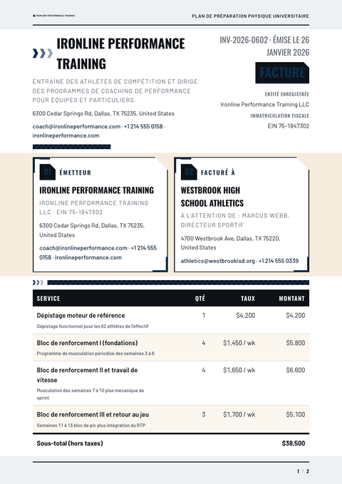 A finished invoice rendered in a divers look