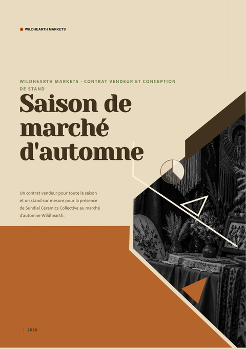 A finished pitch deck rendered in a style de vie look