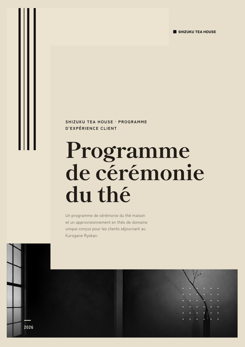 A finished pitch deck rendered in a culturel look