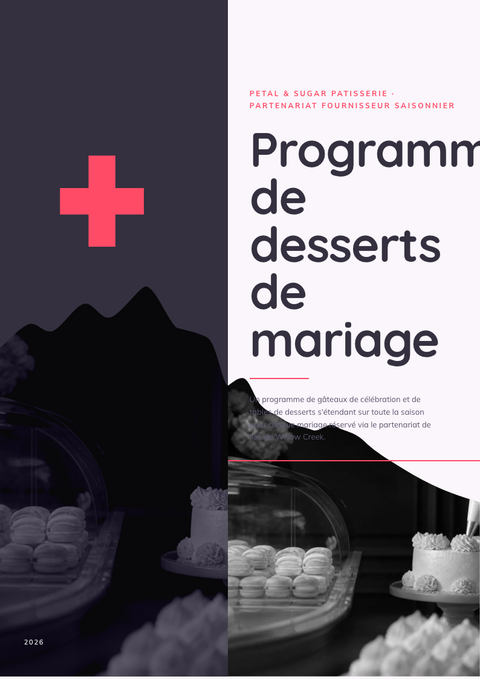 A finished pitch deck rendered in a couleur look