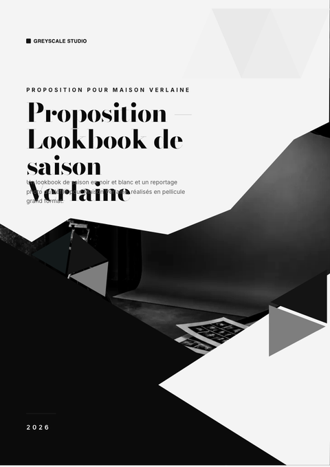 A finished proposal rendered in a couleur look