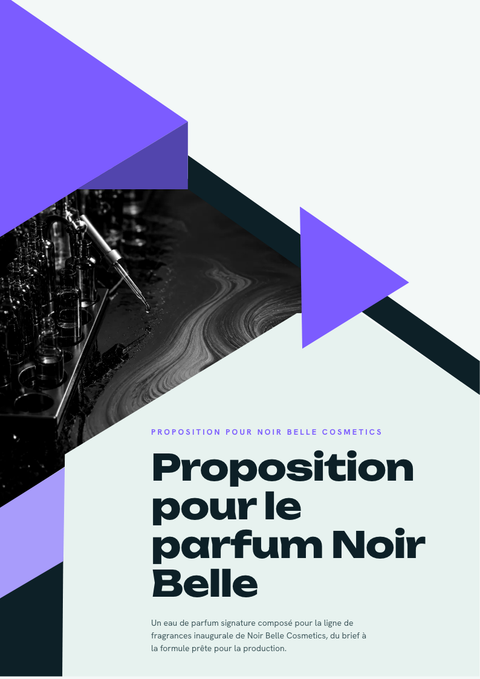 A finished proposal rendered in a dégradé look