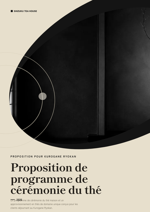 A finished proposal rendered in a culturel look