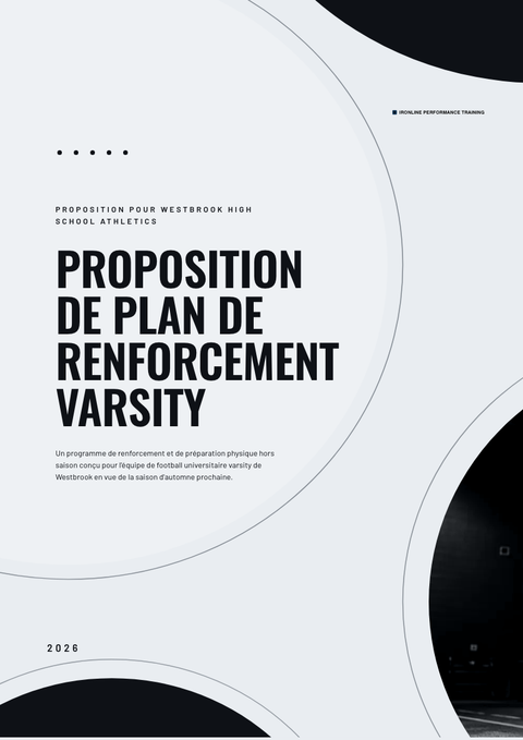 A finished proposal rendered in a divers look