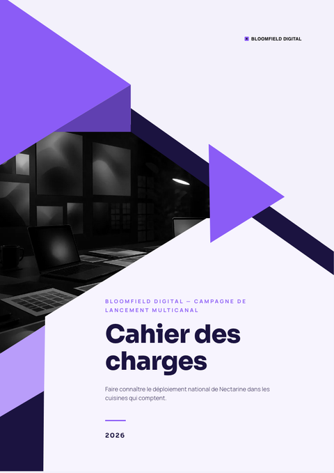 A finished requirements document rendered in a dégradé look