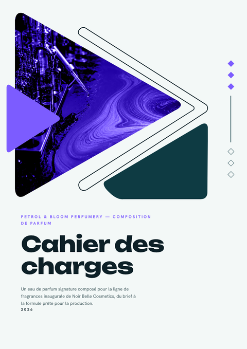 A finished requirements document rendered in a dégradé look